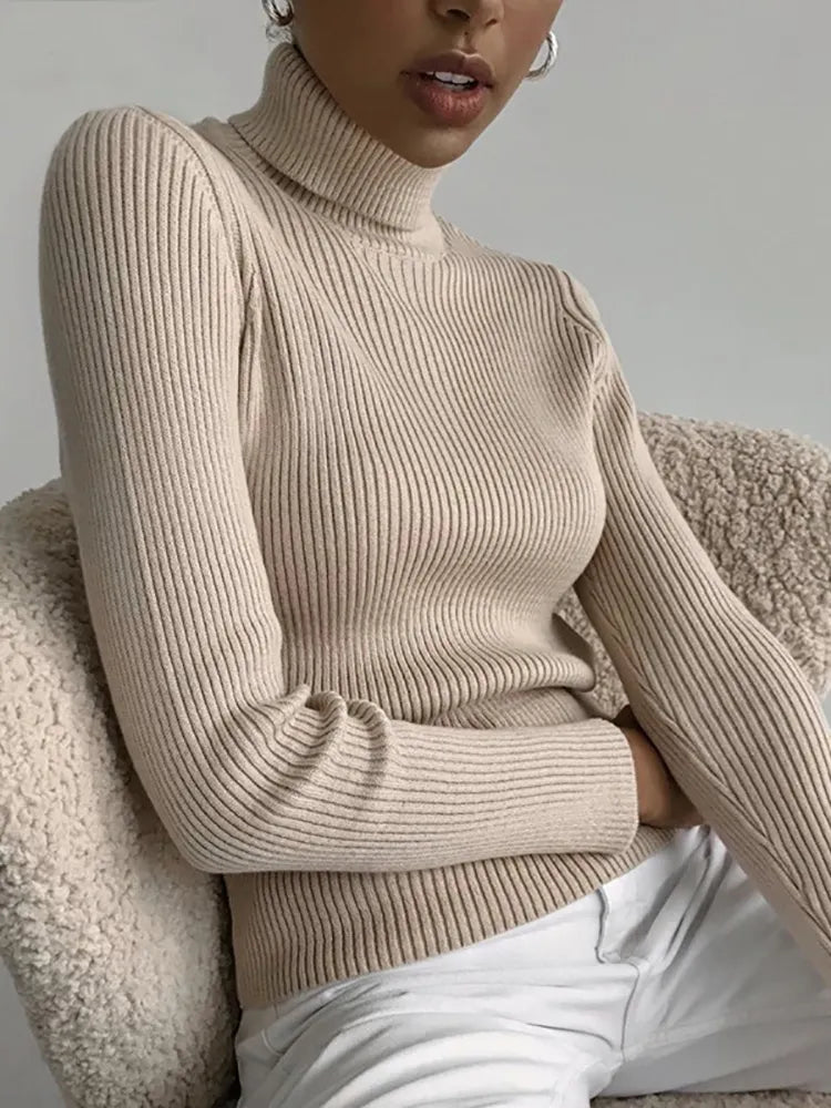 Women's Turtleneck Sweater